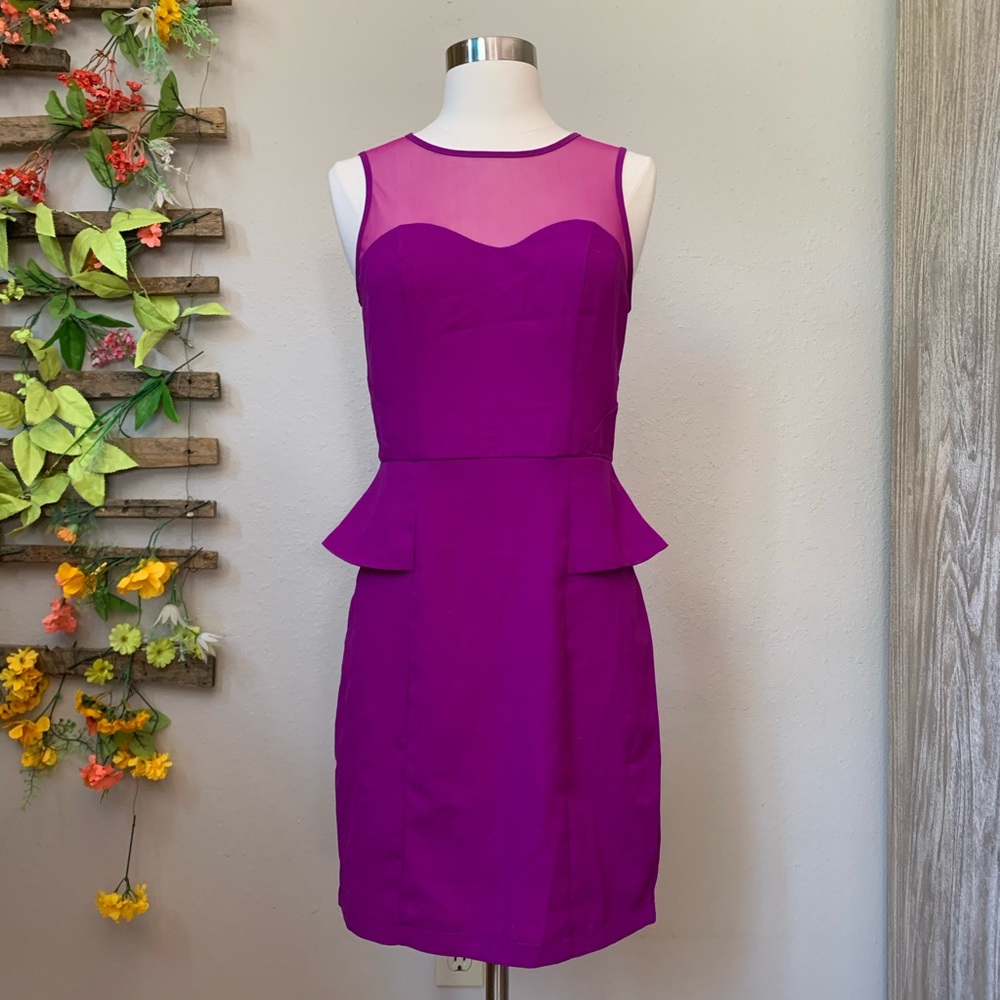 NWT! Greylin Melina Peplum Dress